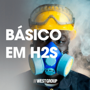 BÁSICO EM H2S